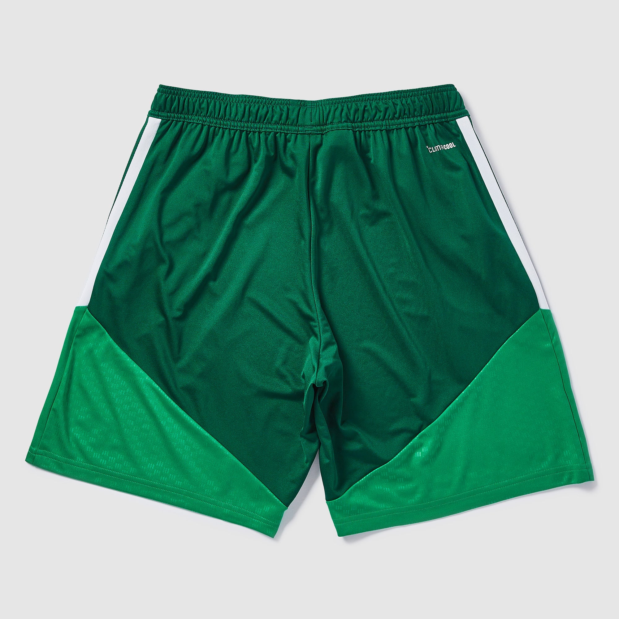 adidas Algeria 2026 Training Shorts