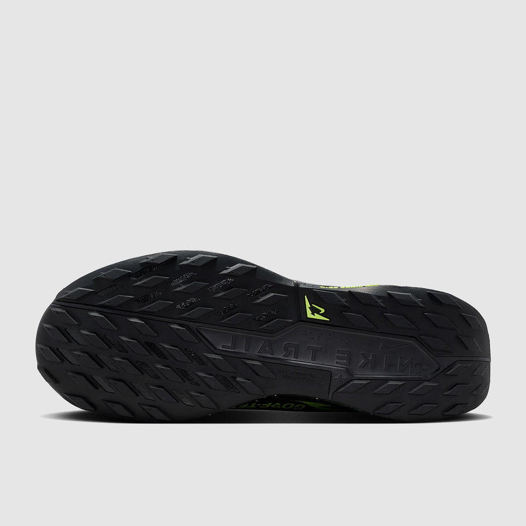 Nike Pegasus Trail 5 GORE-TEX