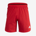 adidas Condivo 20 Shorts