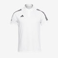 adidas Condivo 20 SS Polo